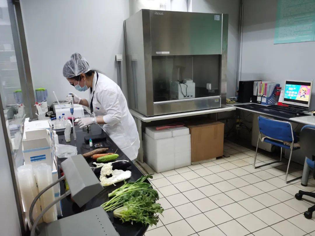 锦江食品检测实验室装修方案